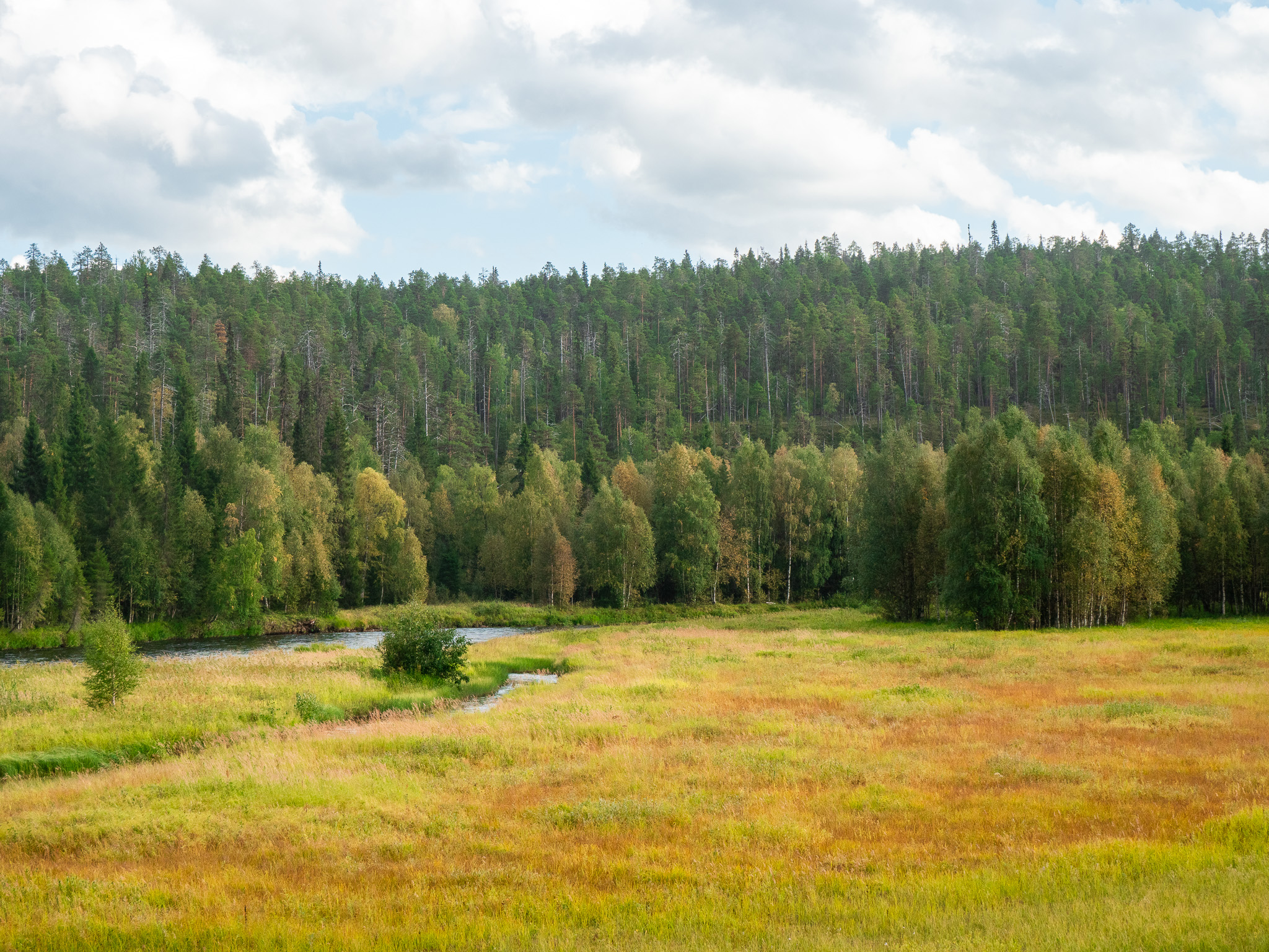 Sentier de l'ours en été