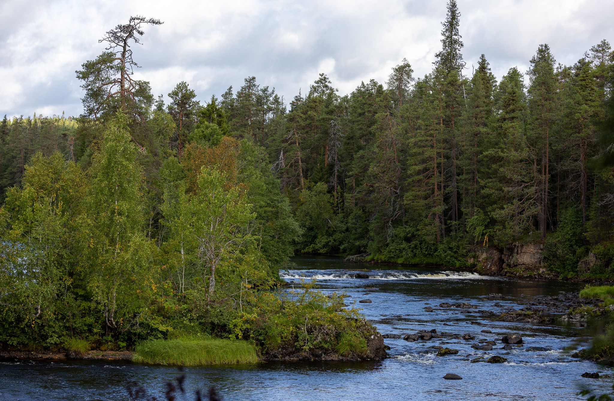 rivière sentier de l'ours