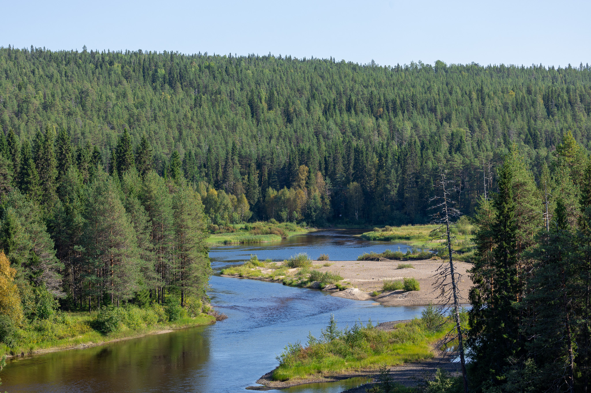 Point de vue sentier de l'ours en Finlande