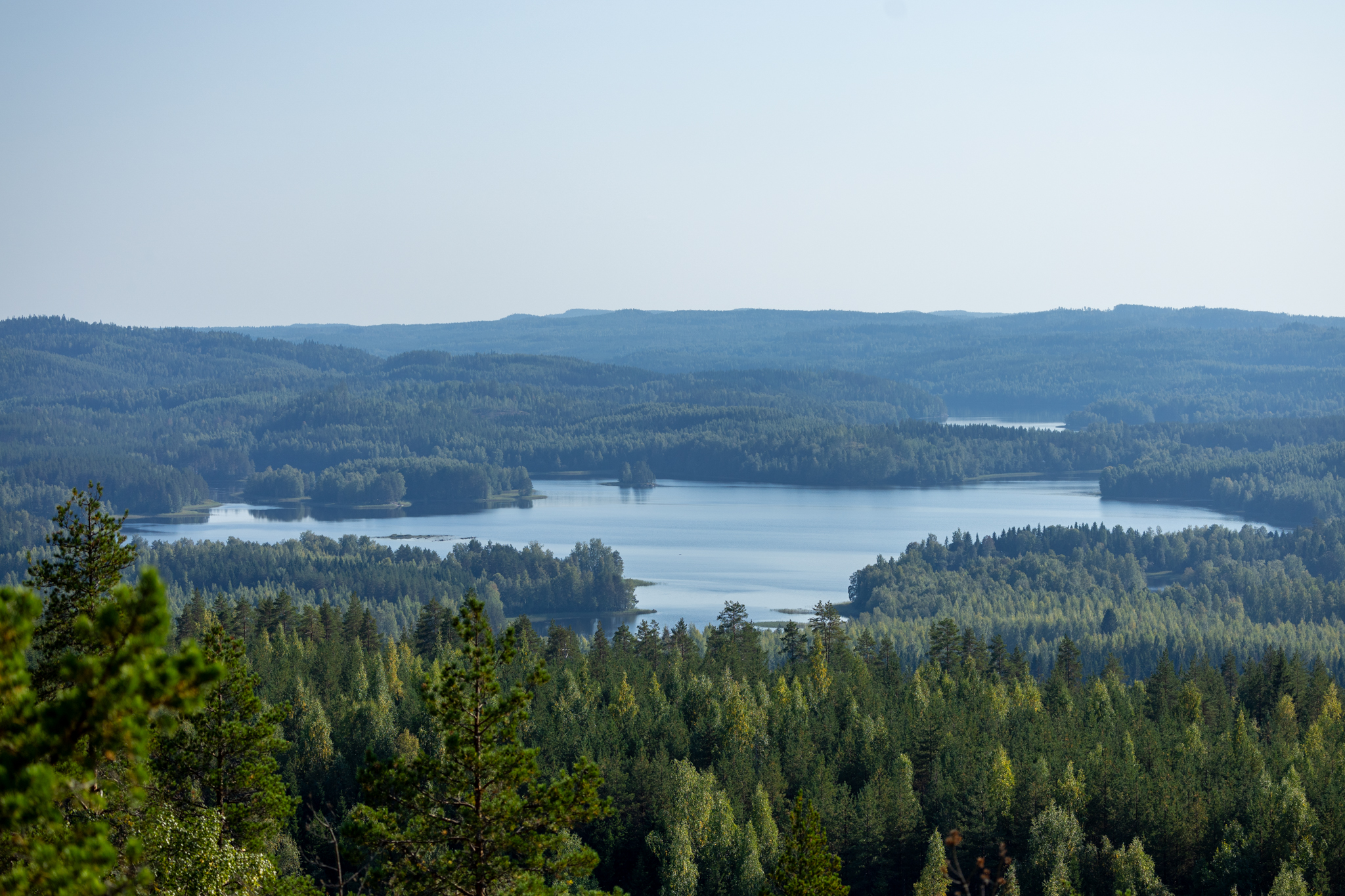 Point de vue sentier parc national de Koli