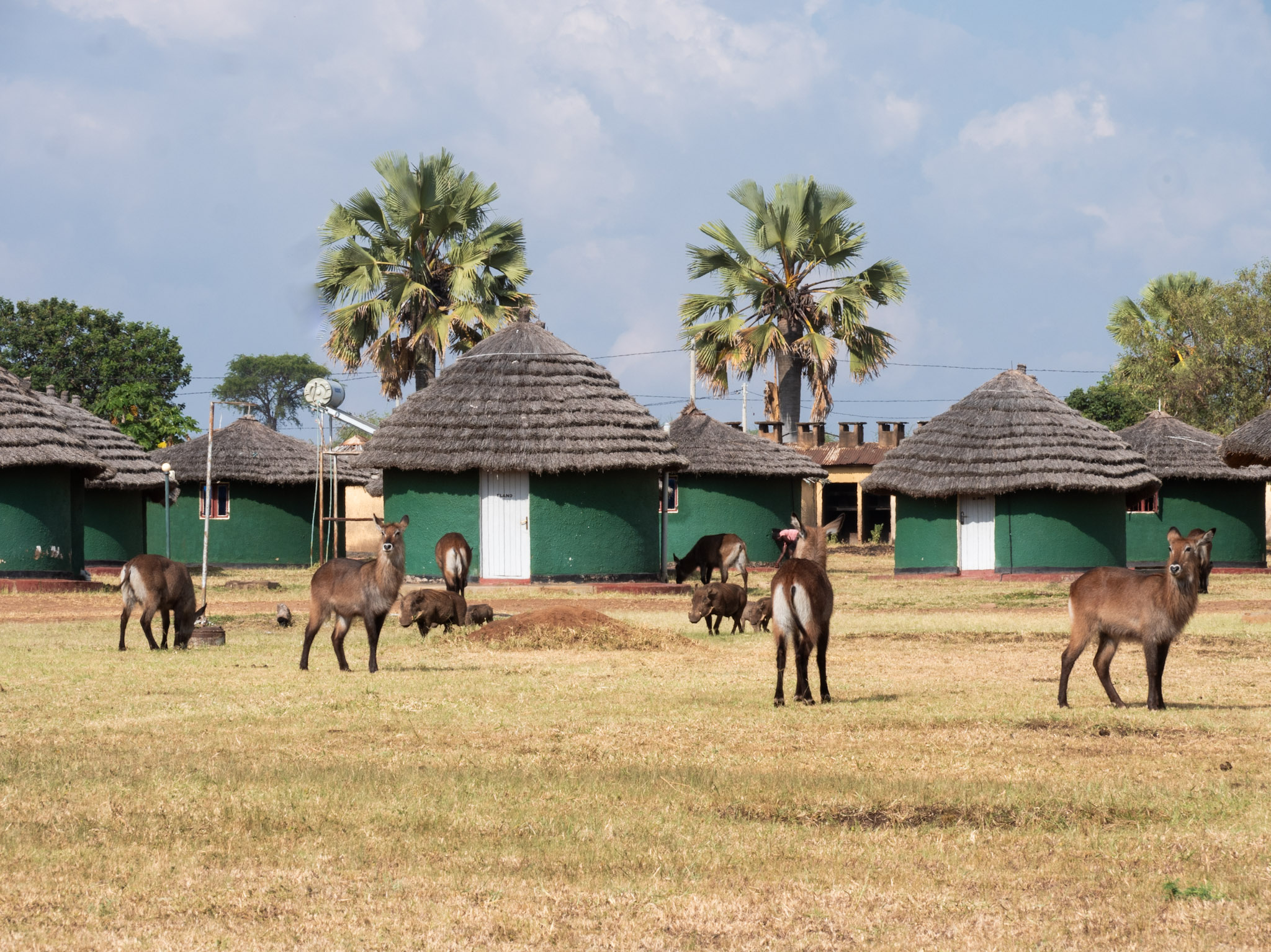 Apoka rest camp