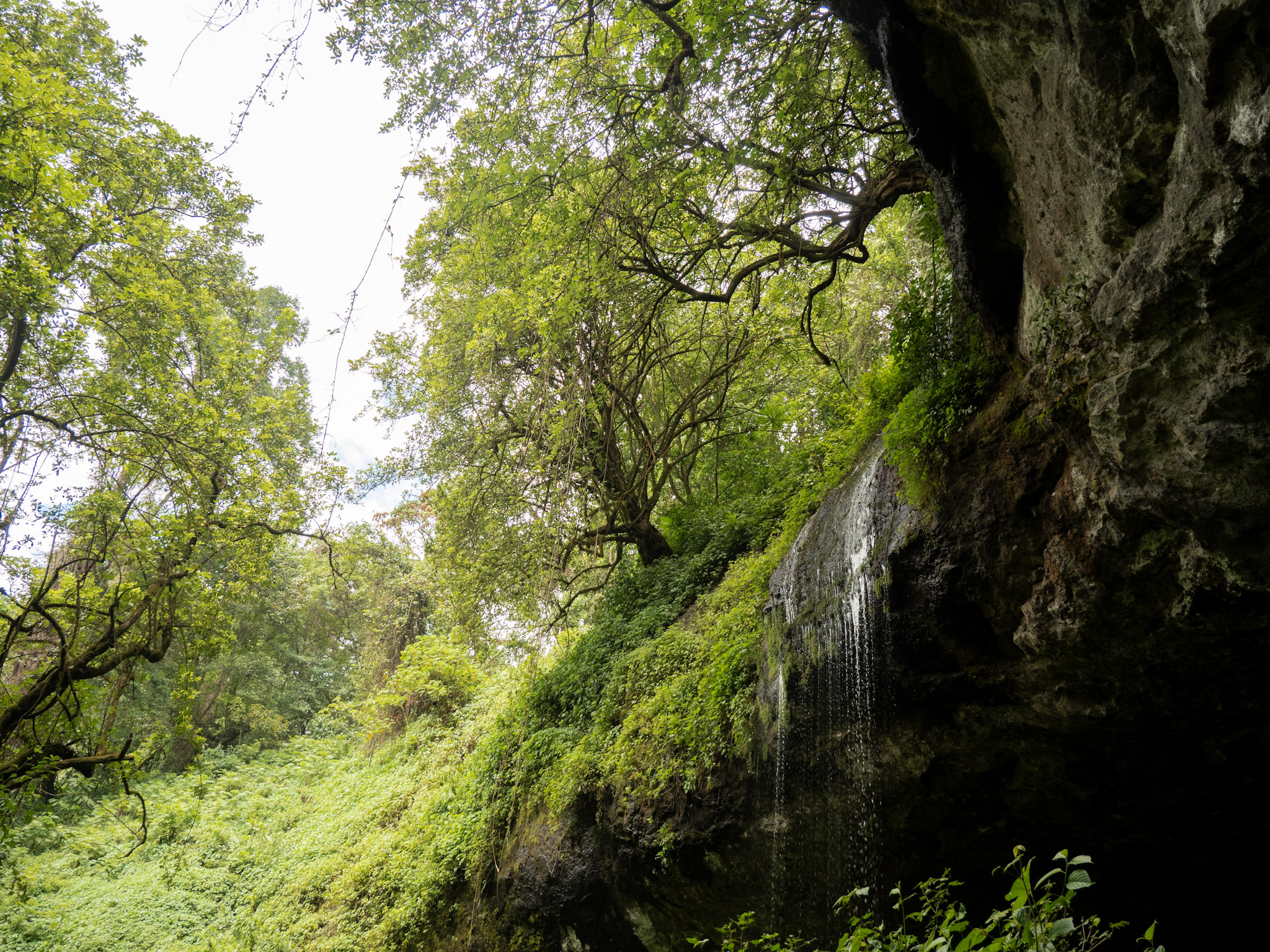 Grotte au Mont Elgon