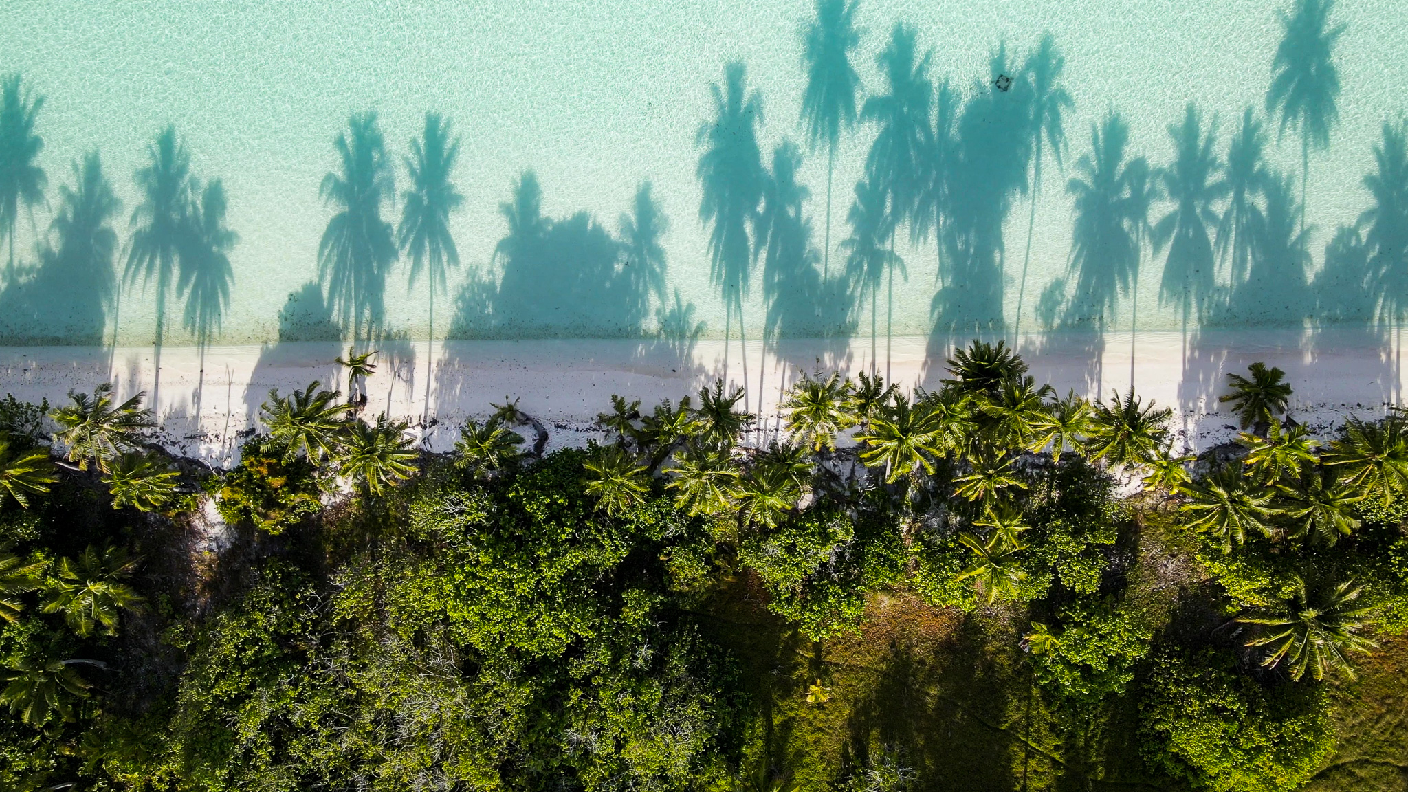 Plage du motu à Maupiti