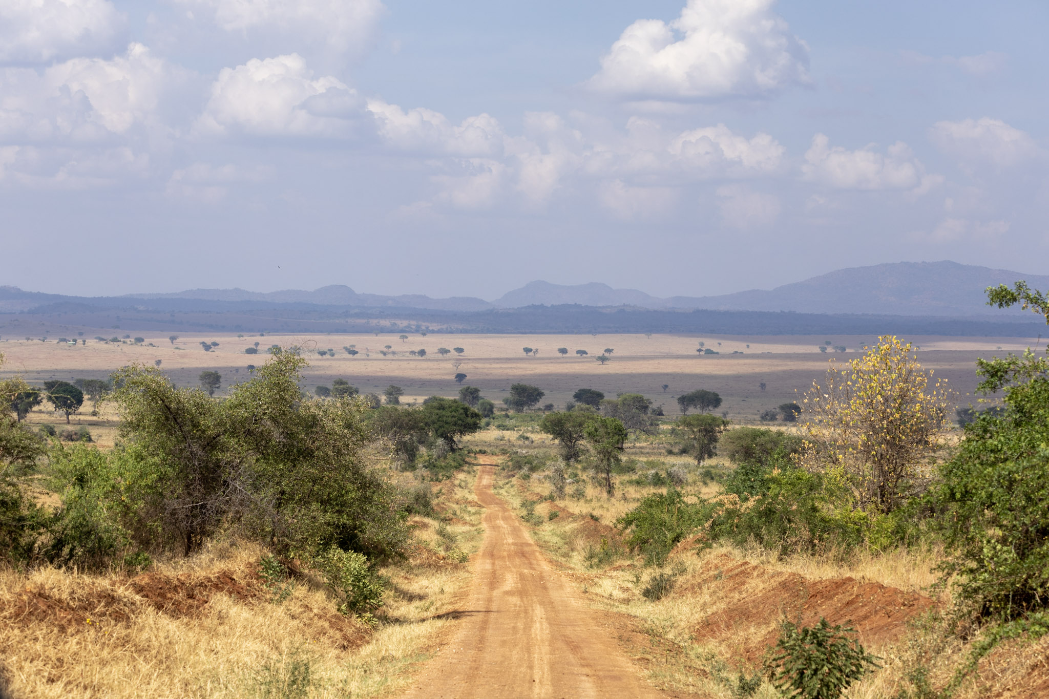 Kidepo Valley