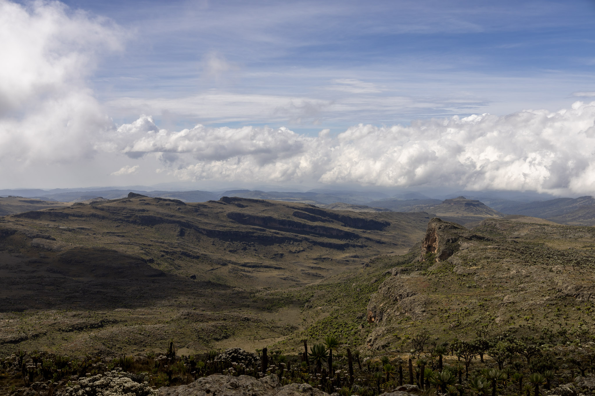 Vue panoramique sommet Mont Elgon