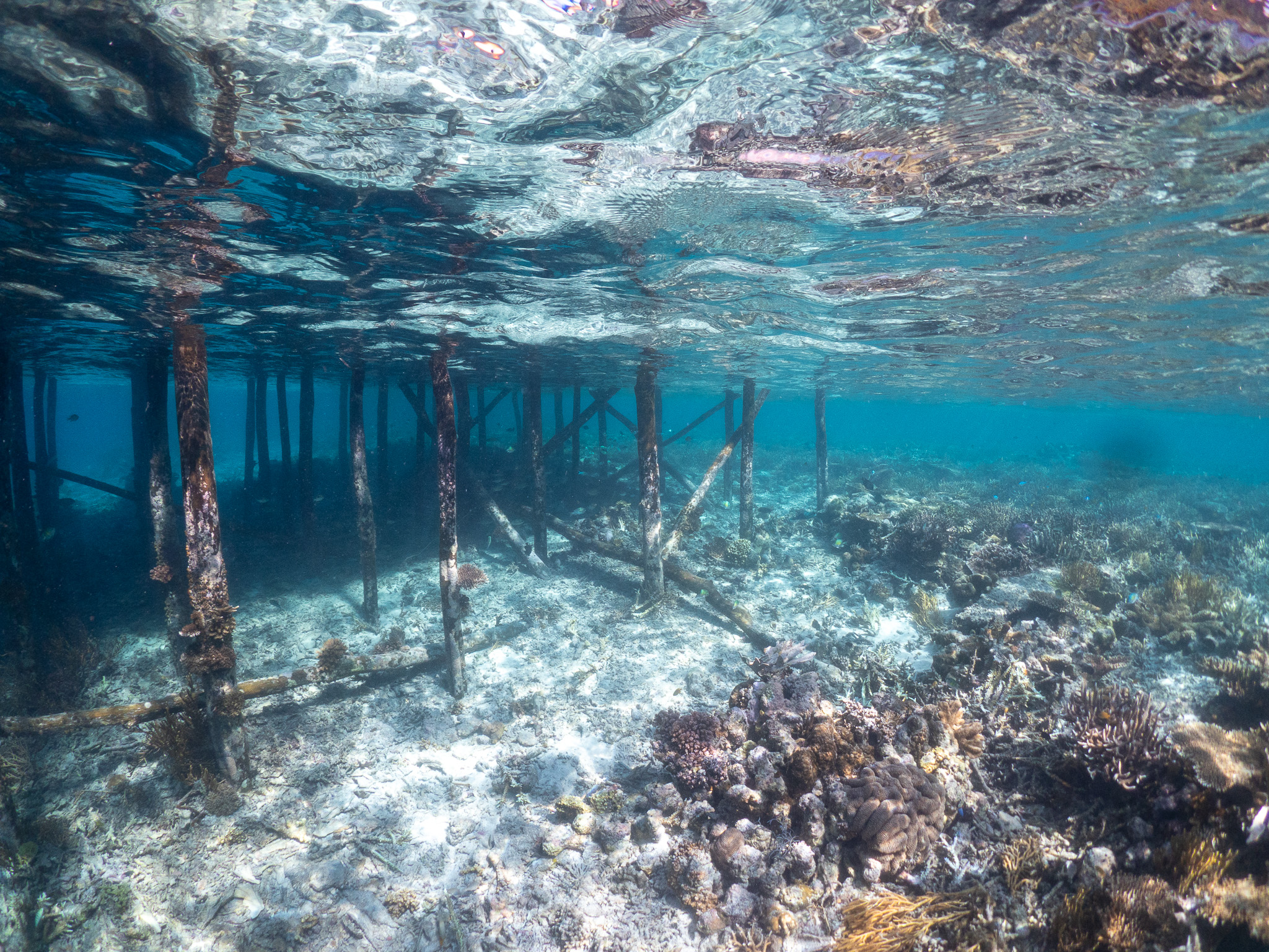 Snorkeling à Kri aux Raja Ampat