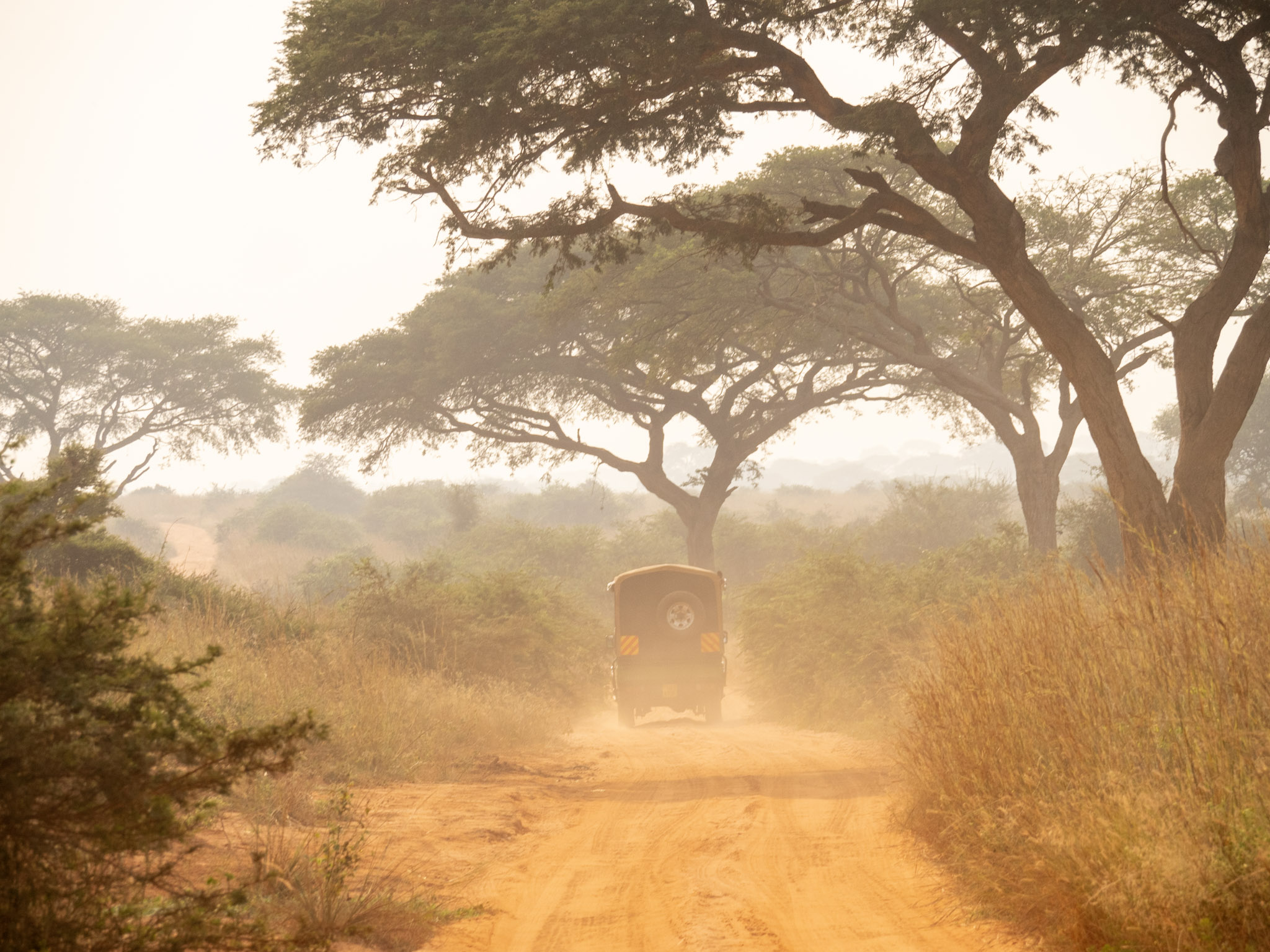 Safari Ouganda