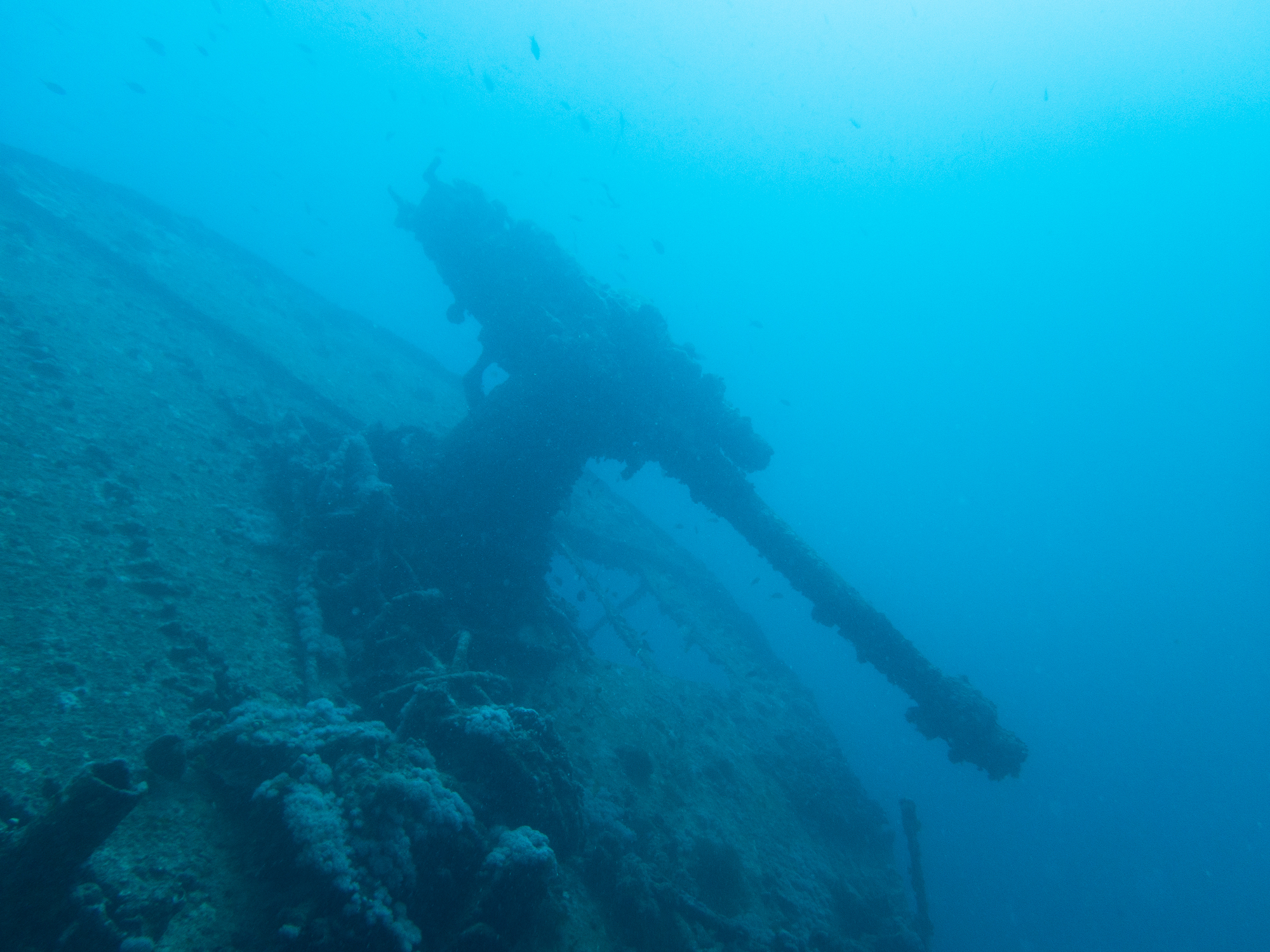 SS Thistlegorm mer rouge