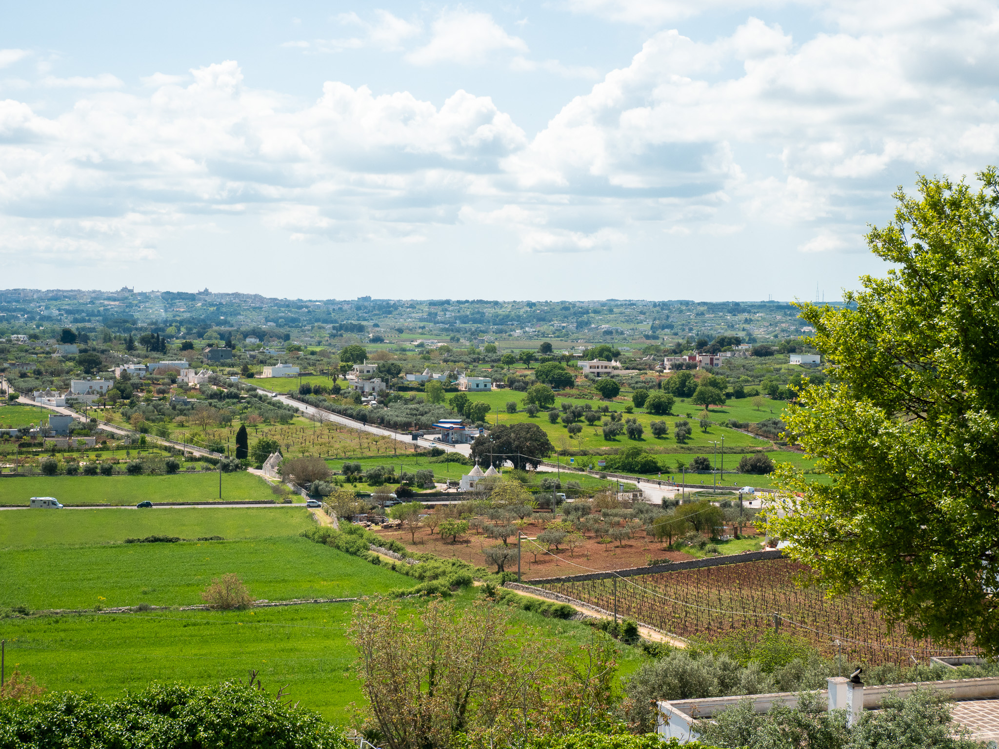 Vue depuis Locorotondo