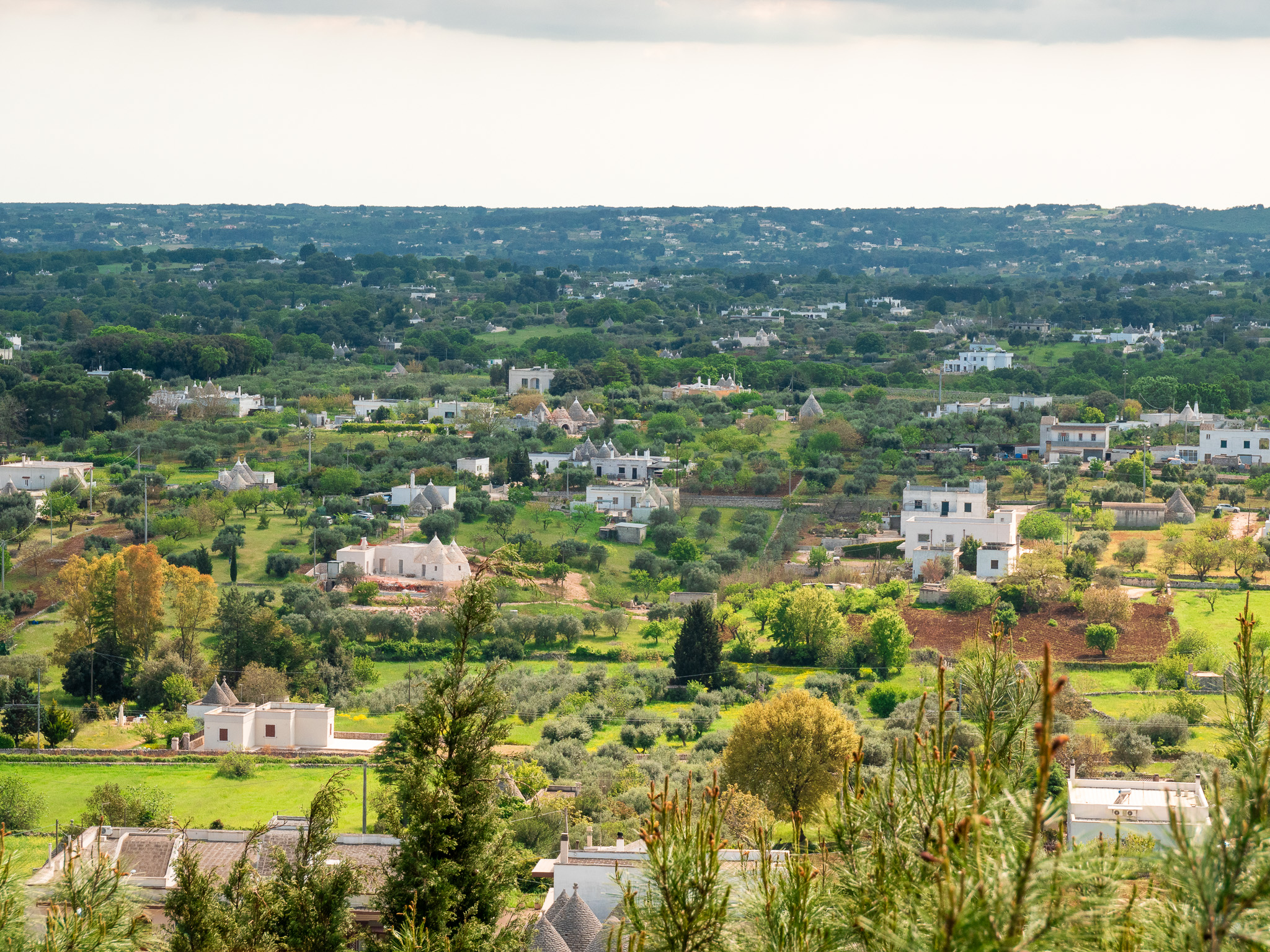 Vue depuis Locorotondo