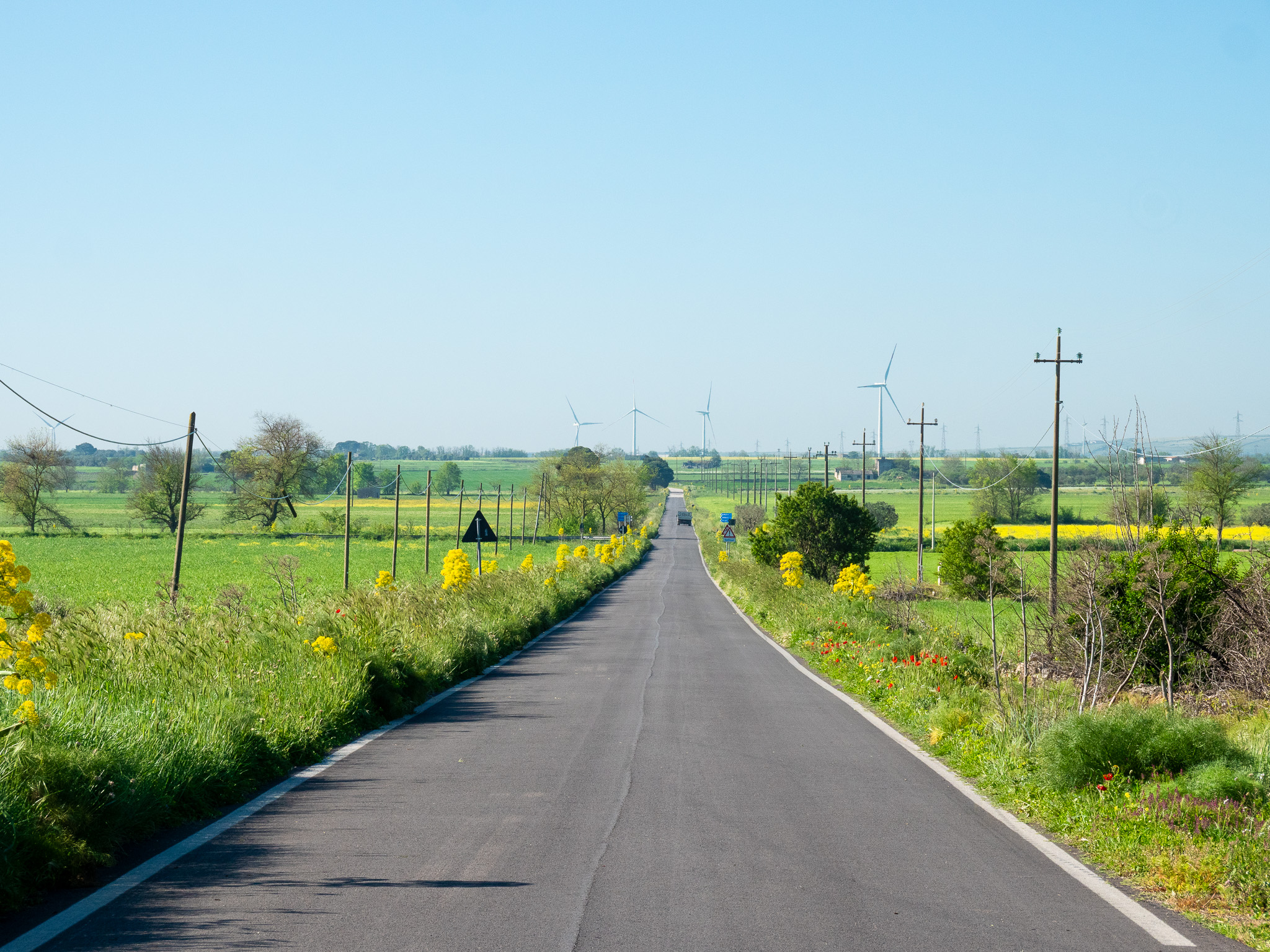 Route dans les Pouilles