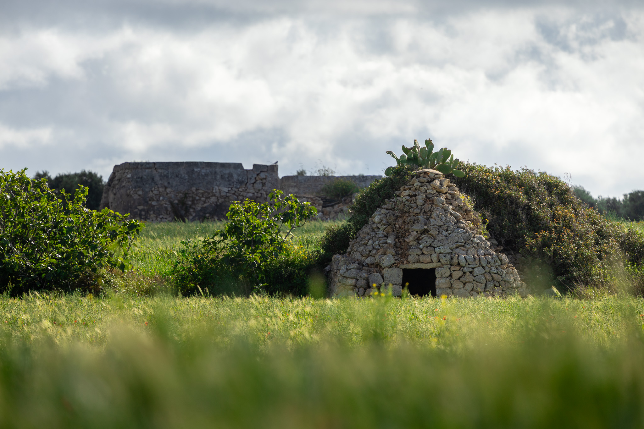 Trulli Mola Di Bari