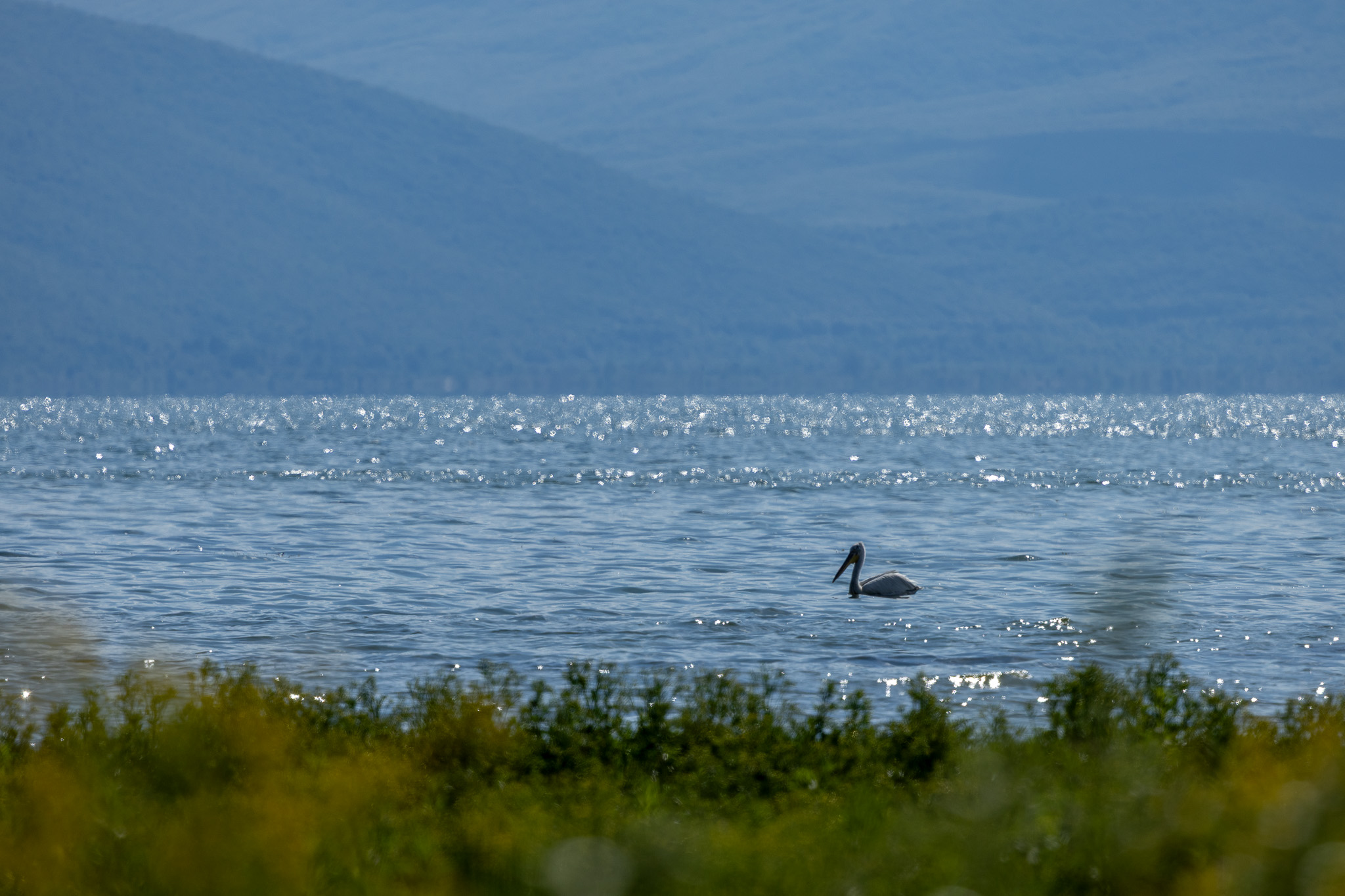 Lac de Prespa