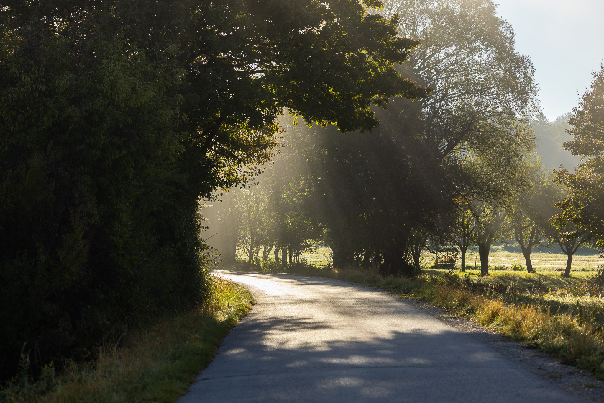 Route en Slovénie