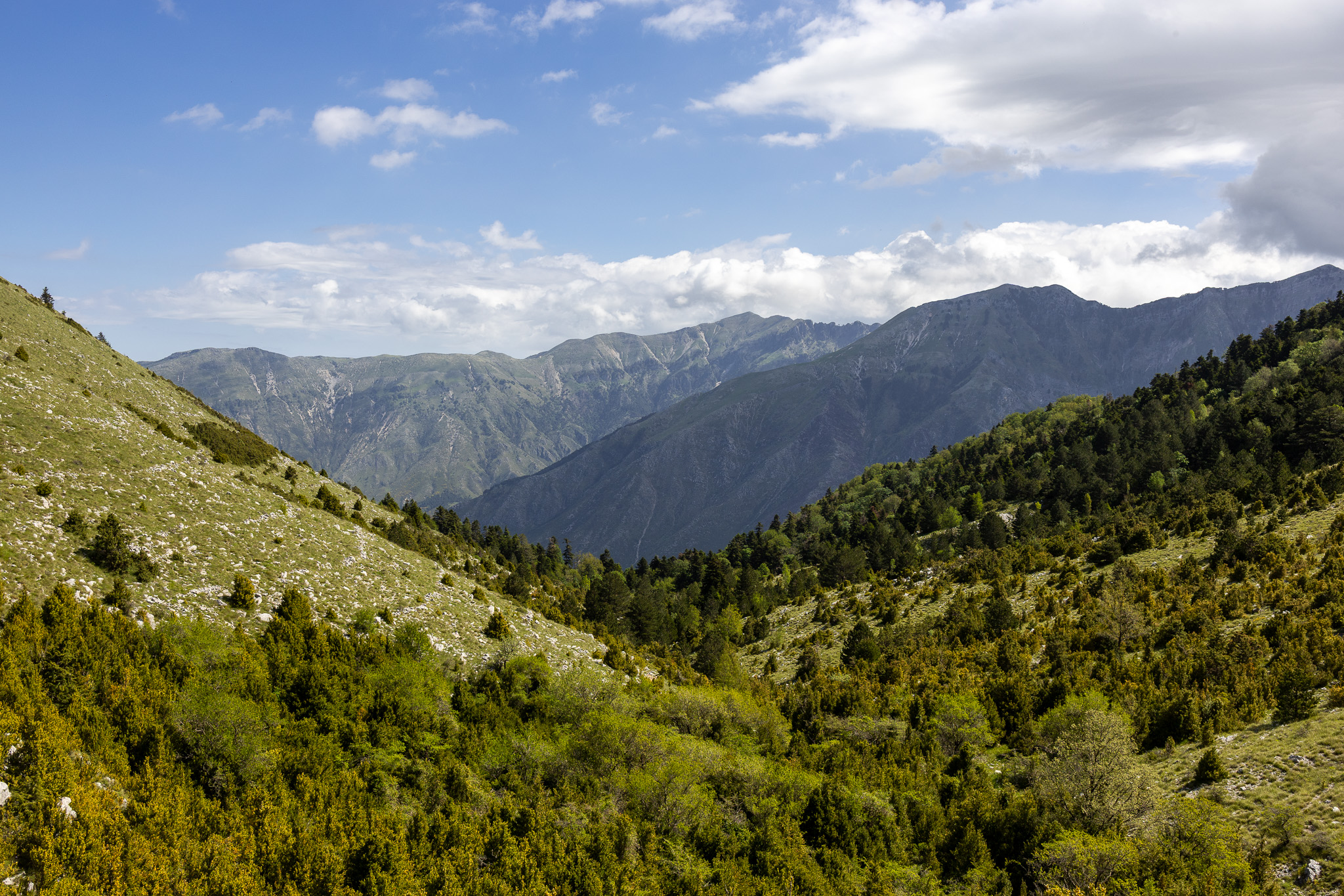 Parc national de Llogara - Albanie
