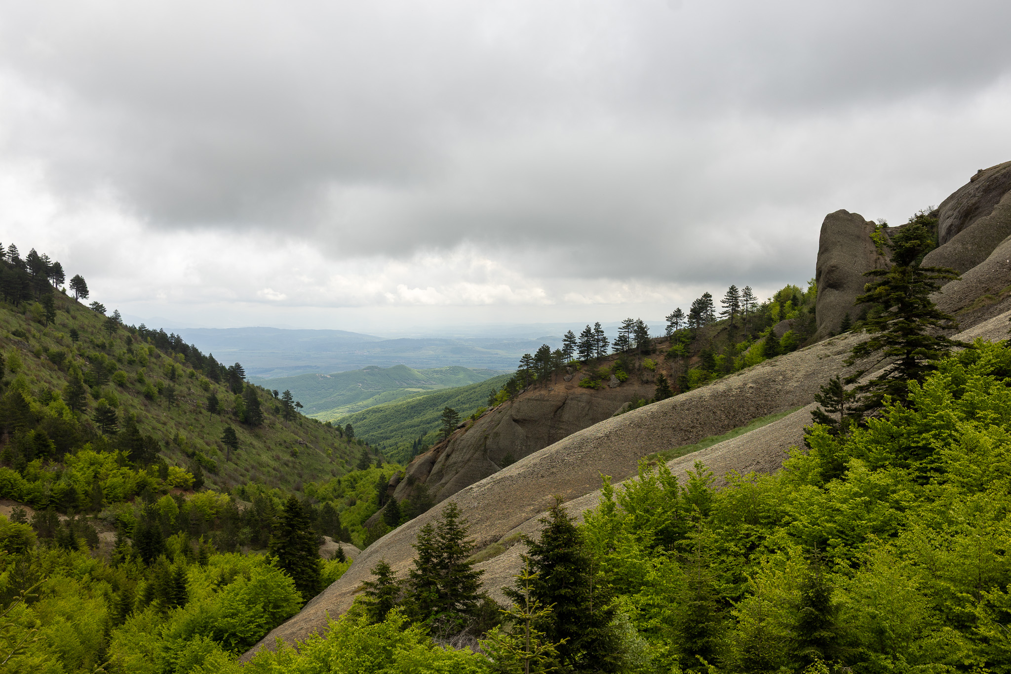 Parc national Fir of Drenova - Albanie