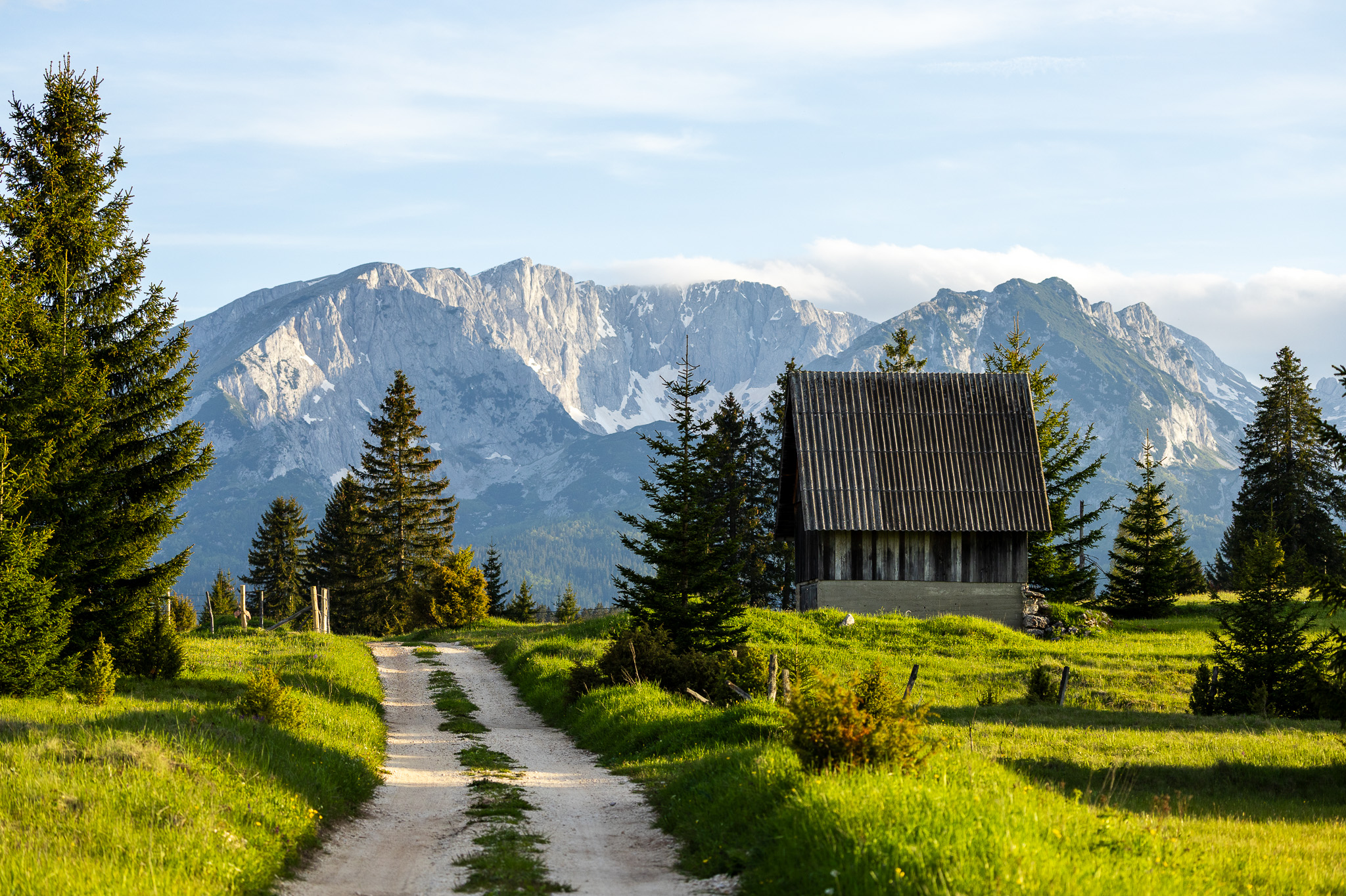 Campagne de Žabljak