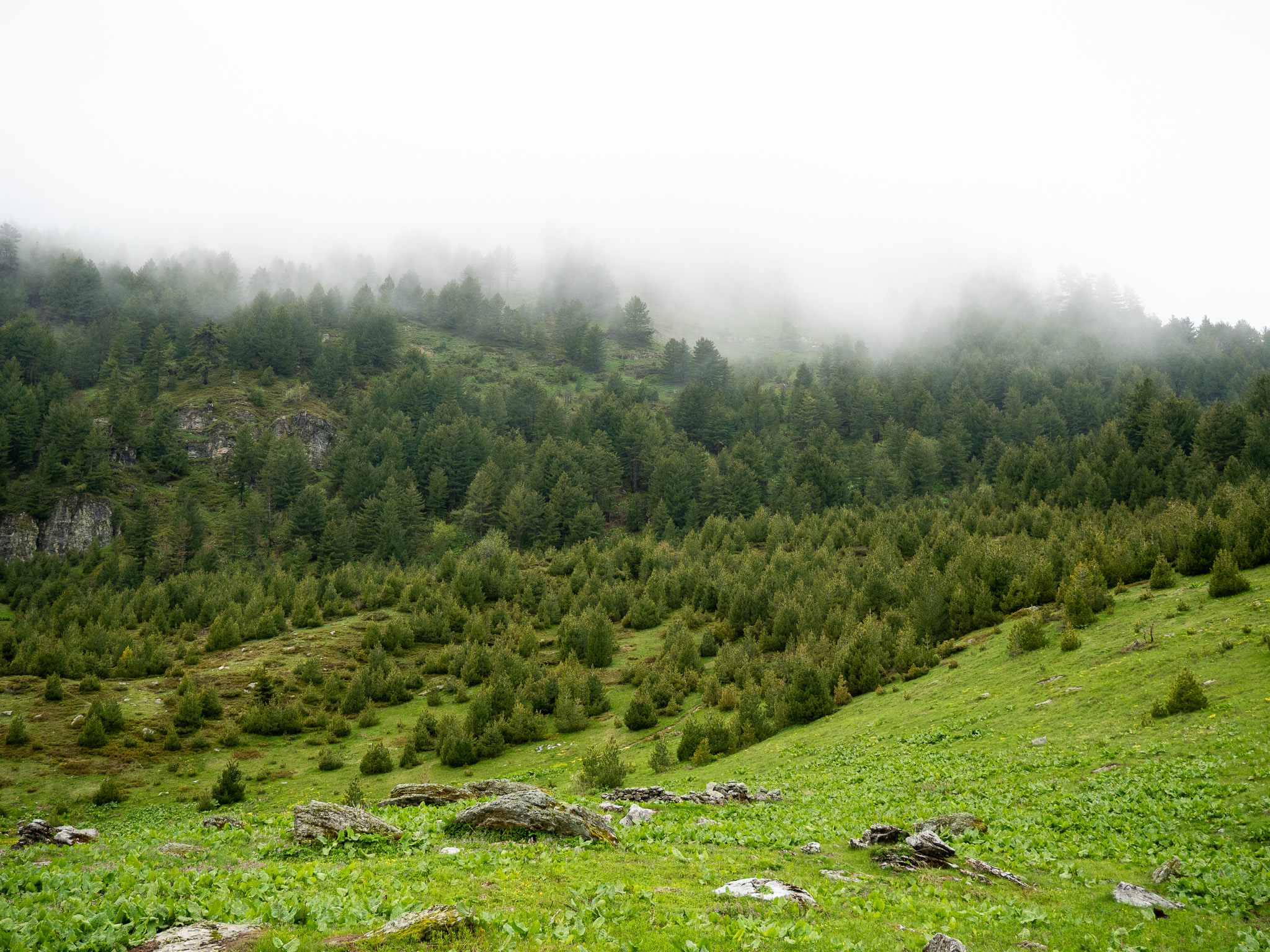 Sentier randonnée Plav