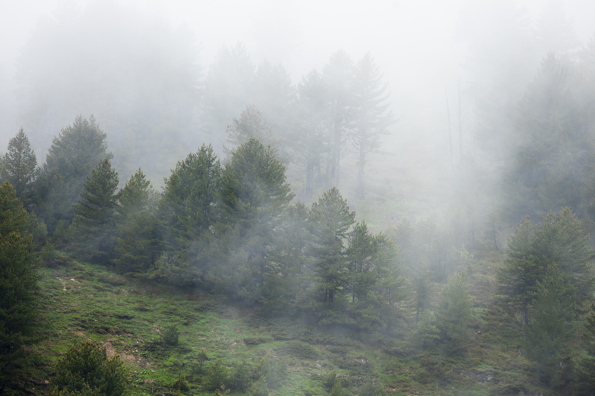Brouillard sommet Plav