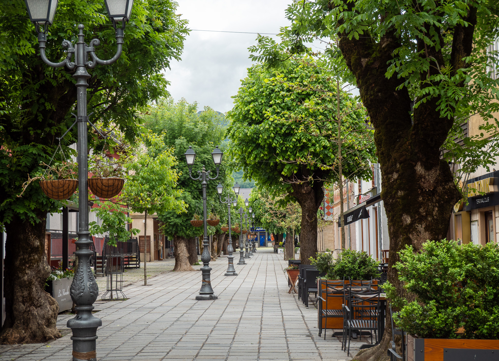 Rue piétonne bordée d'arbres dans le centre de Kolašin