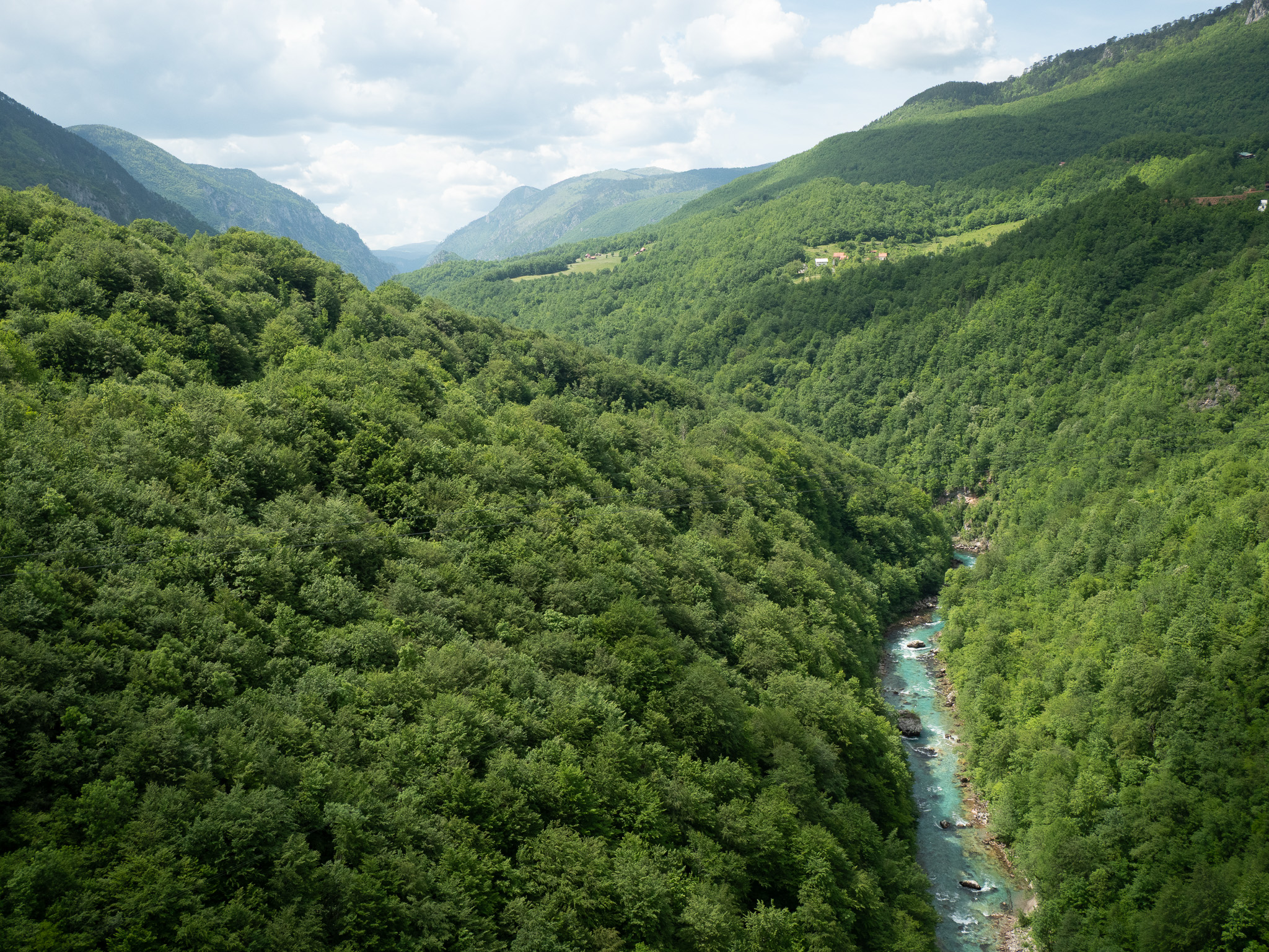 Canyon boisé de la Tara et sa rivière, près du pont de Đurđevića Tara