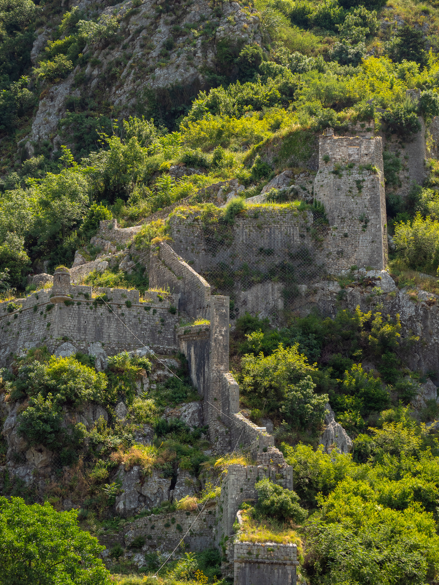 Remparts de Kotor qui grimpent vers la forteresse San Giovanni
