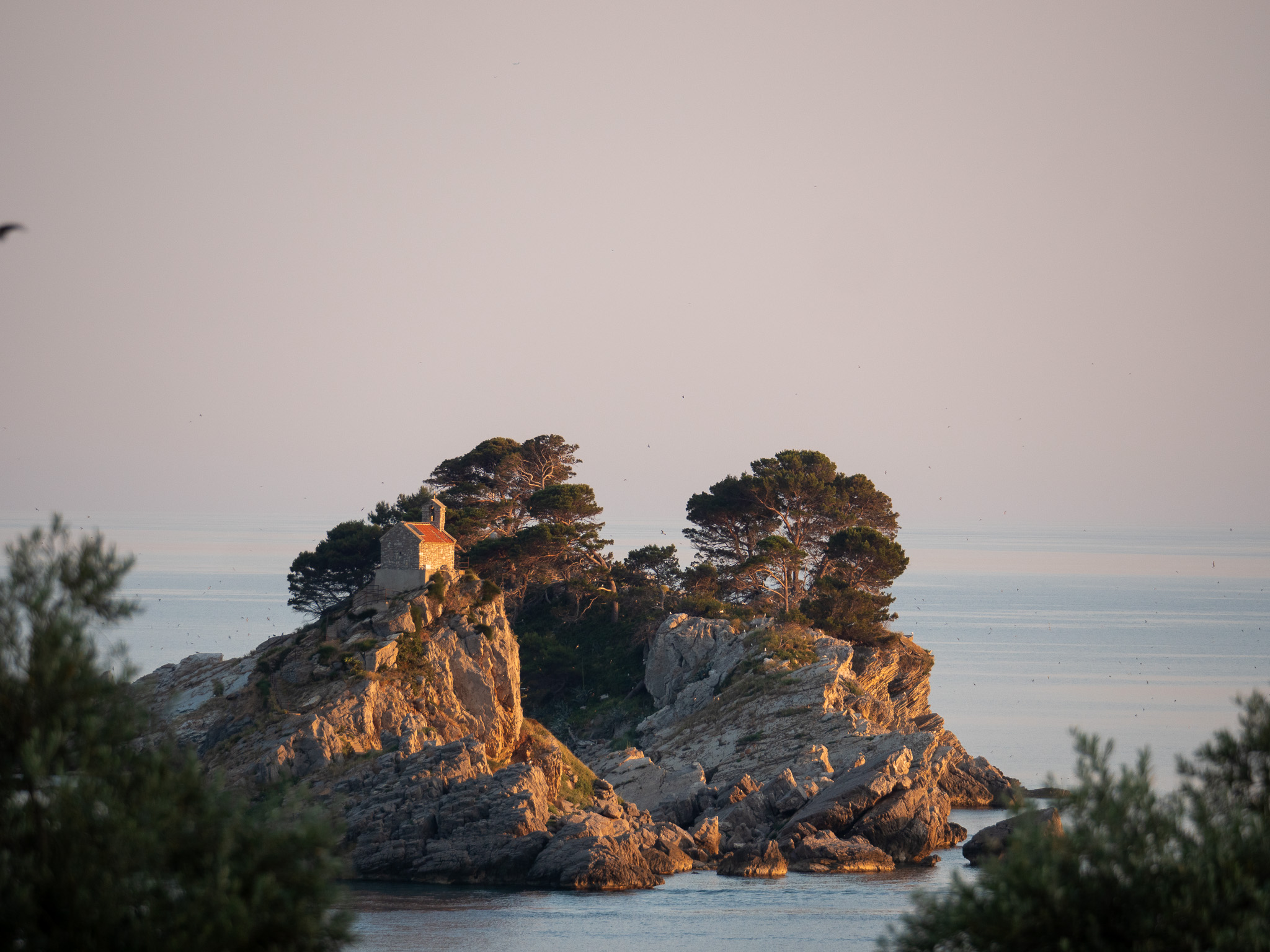 Rochers couverts de pins au coucher du soleil à Petrovac na Moru
