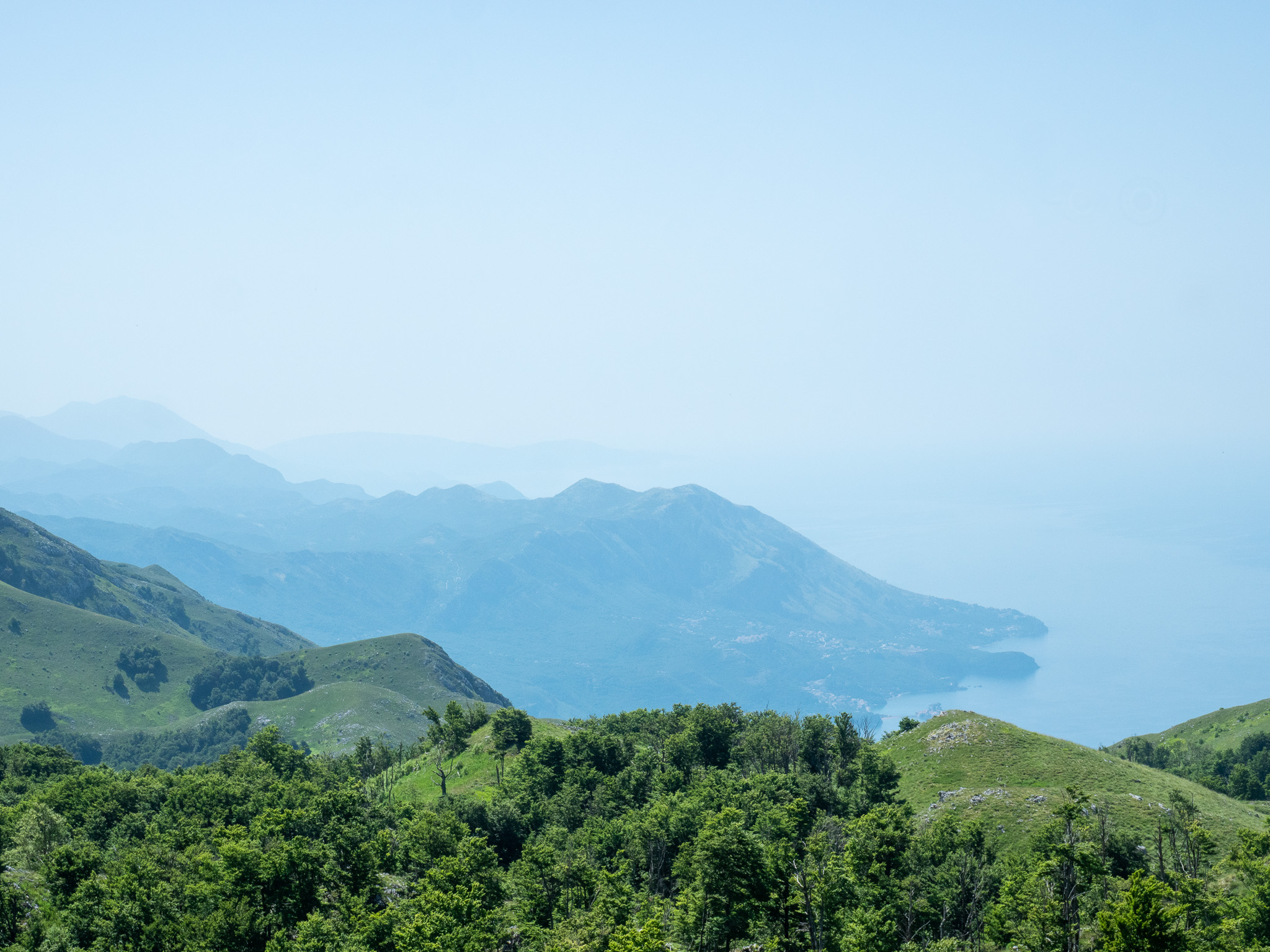 Collines boisées du parc national du Lovćen et mer au loin dans la brume