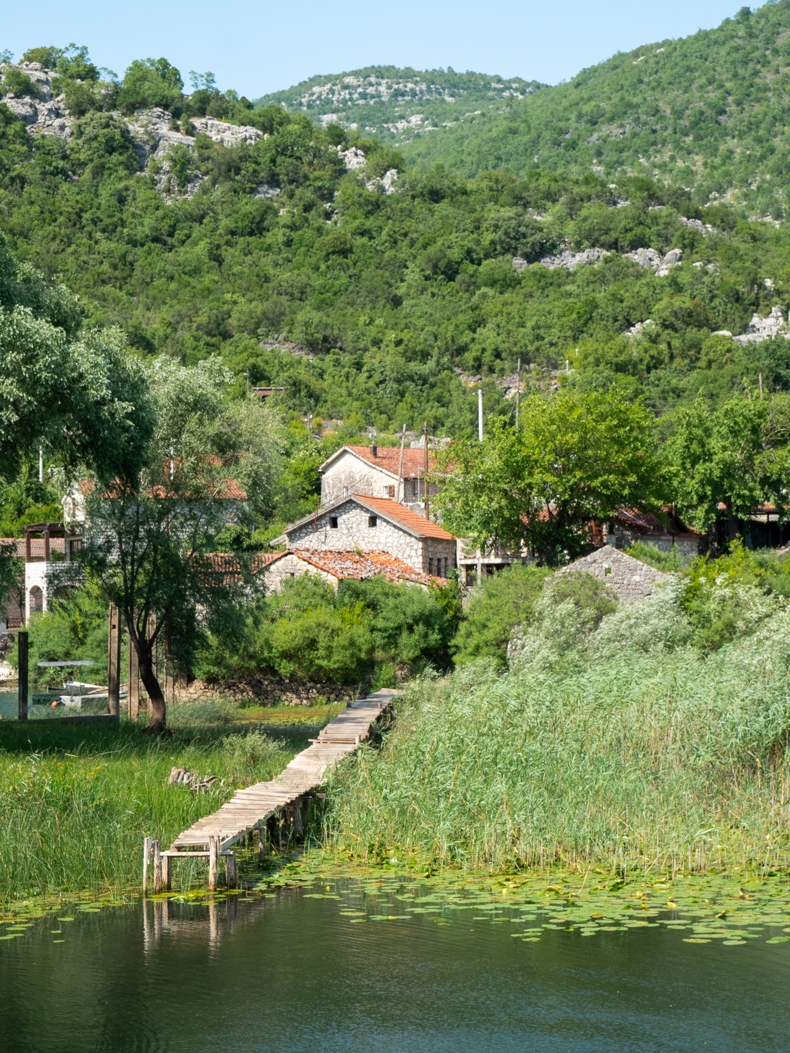 Maisons en pierre et ponton en bois parmi les roseaux à Karuč, au bord du lac de Skadar