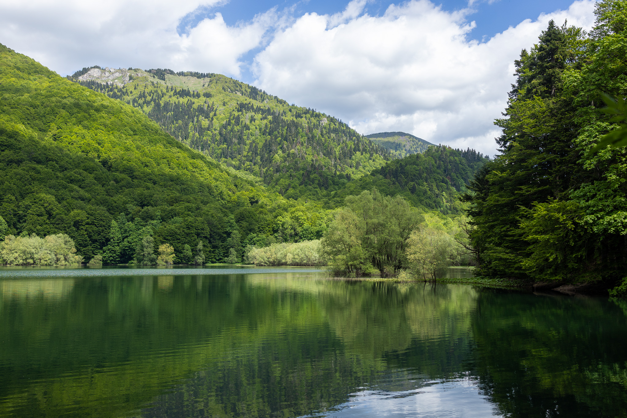 Lac Biogradsko entouré de forêt et de montagnes dans le parc national de Biogradska Gora