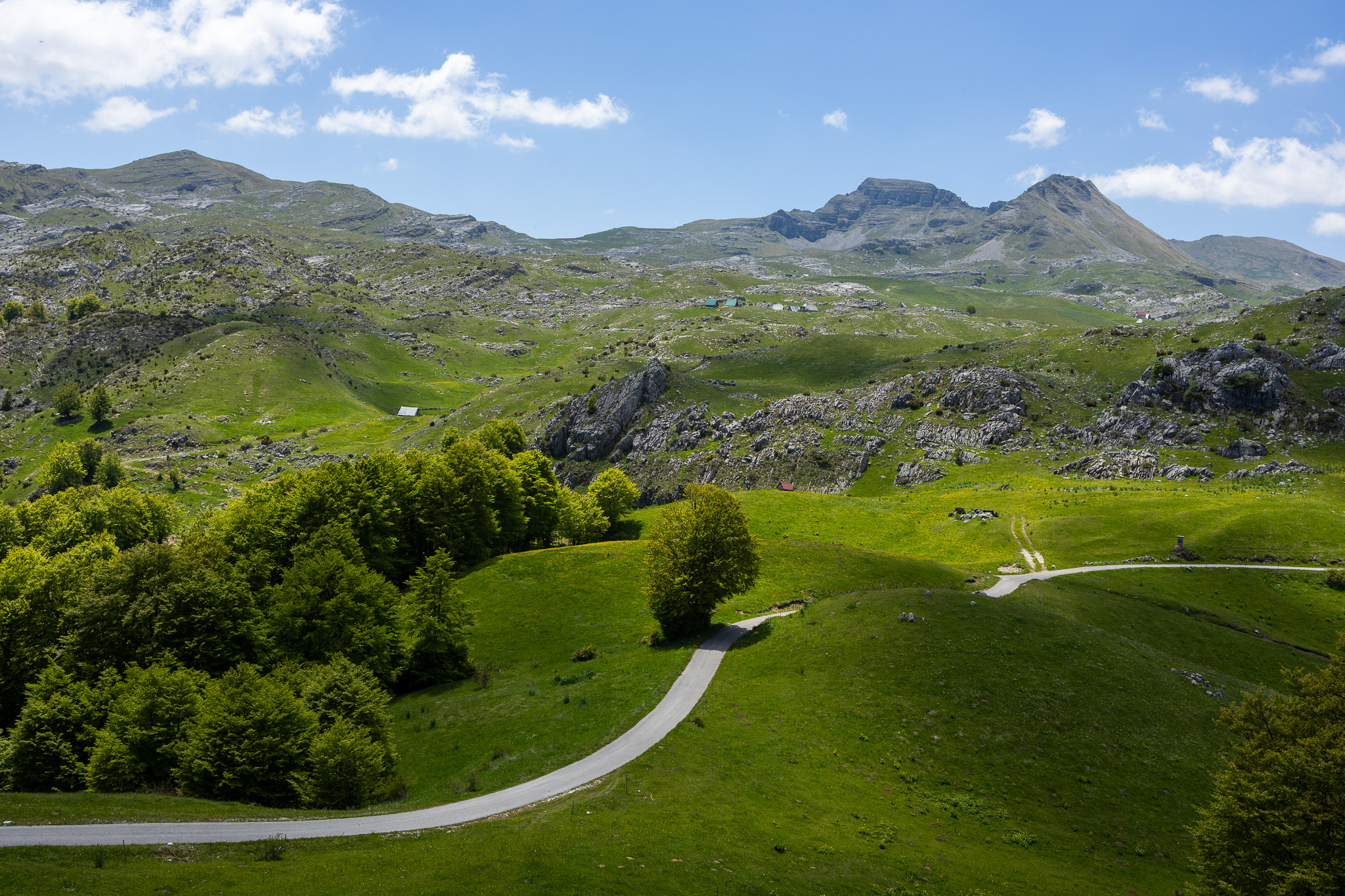 Route à travers les alpages de la région de Kolašin