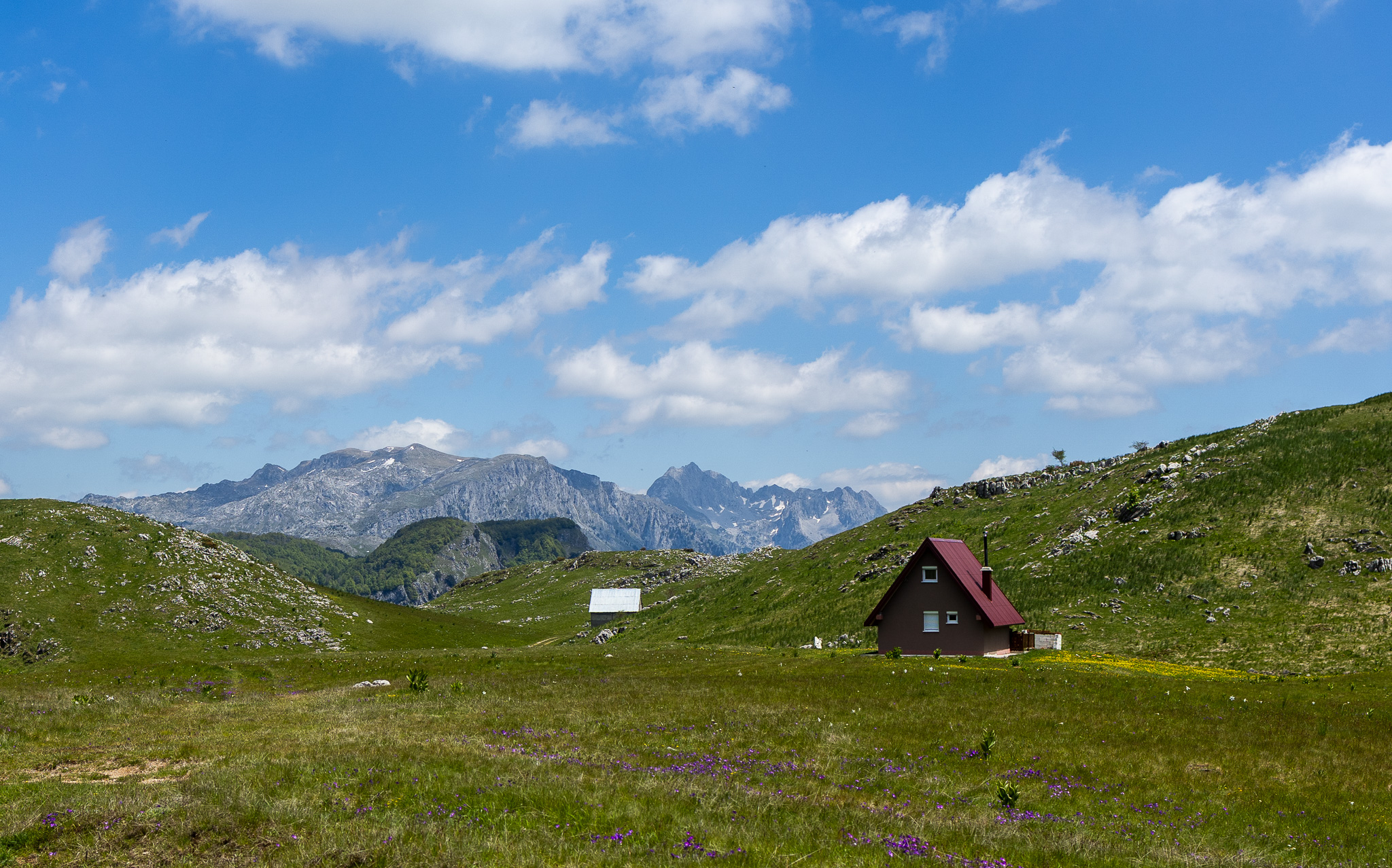 Cabane au toit rouge dans les alpages de la région de Kolašin, face aux sommets