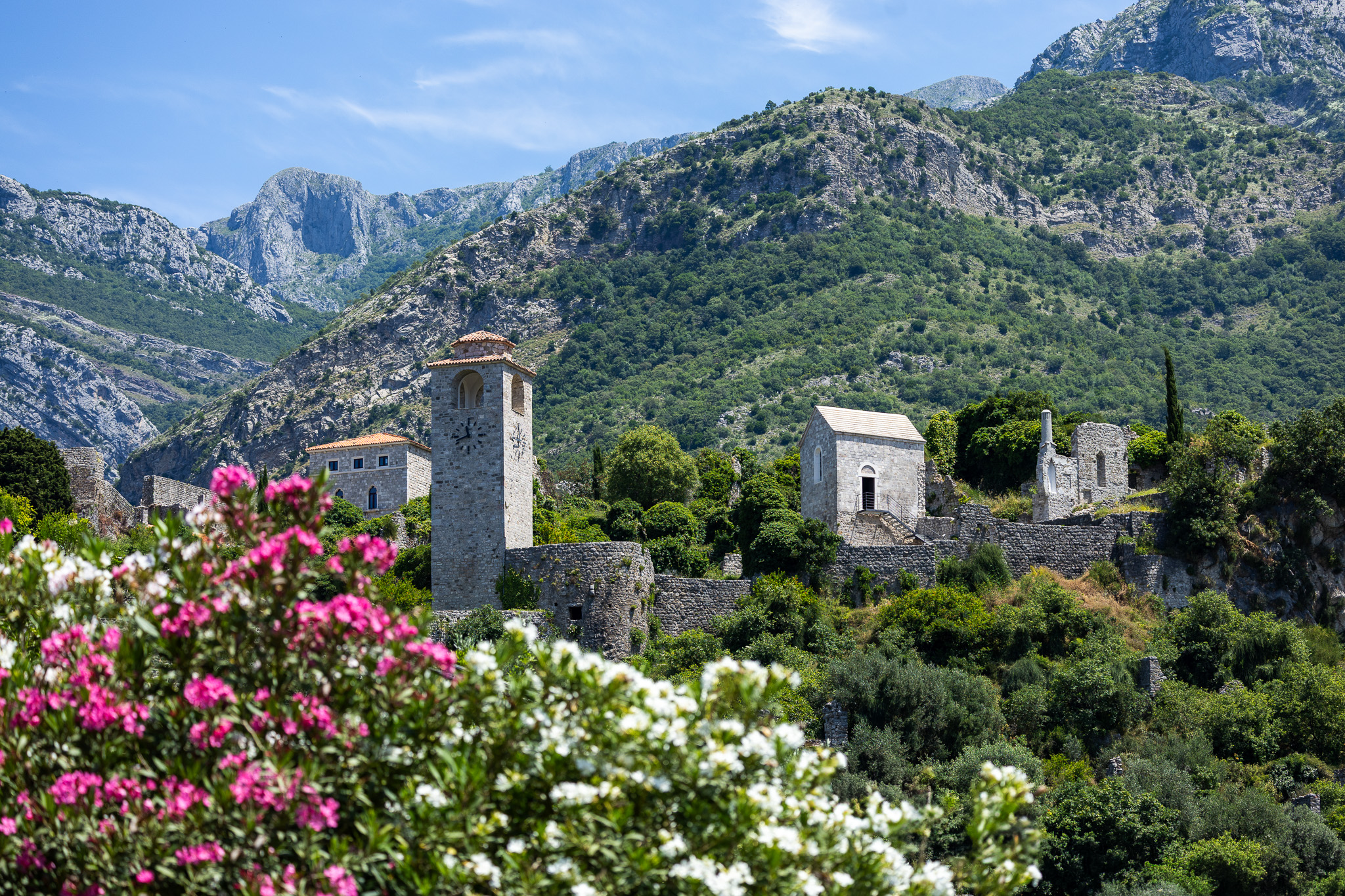 Ruines de Stari Bar et lauriers-roses au pied des montagnes