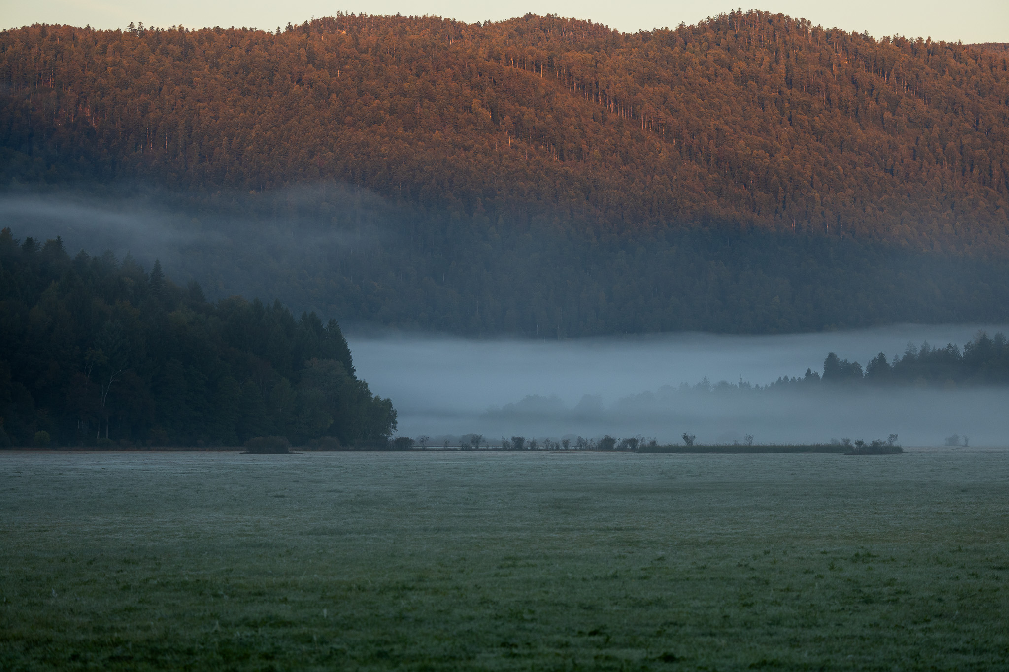 Brume au lever du soleil sur les prairies du lac de Cerknica, près de Laze pri Gorenjem Jezeru