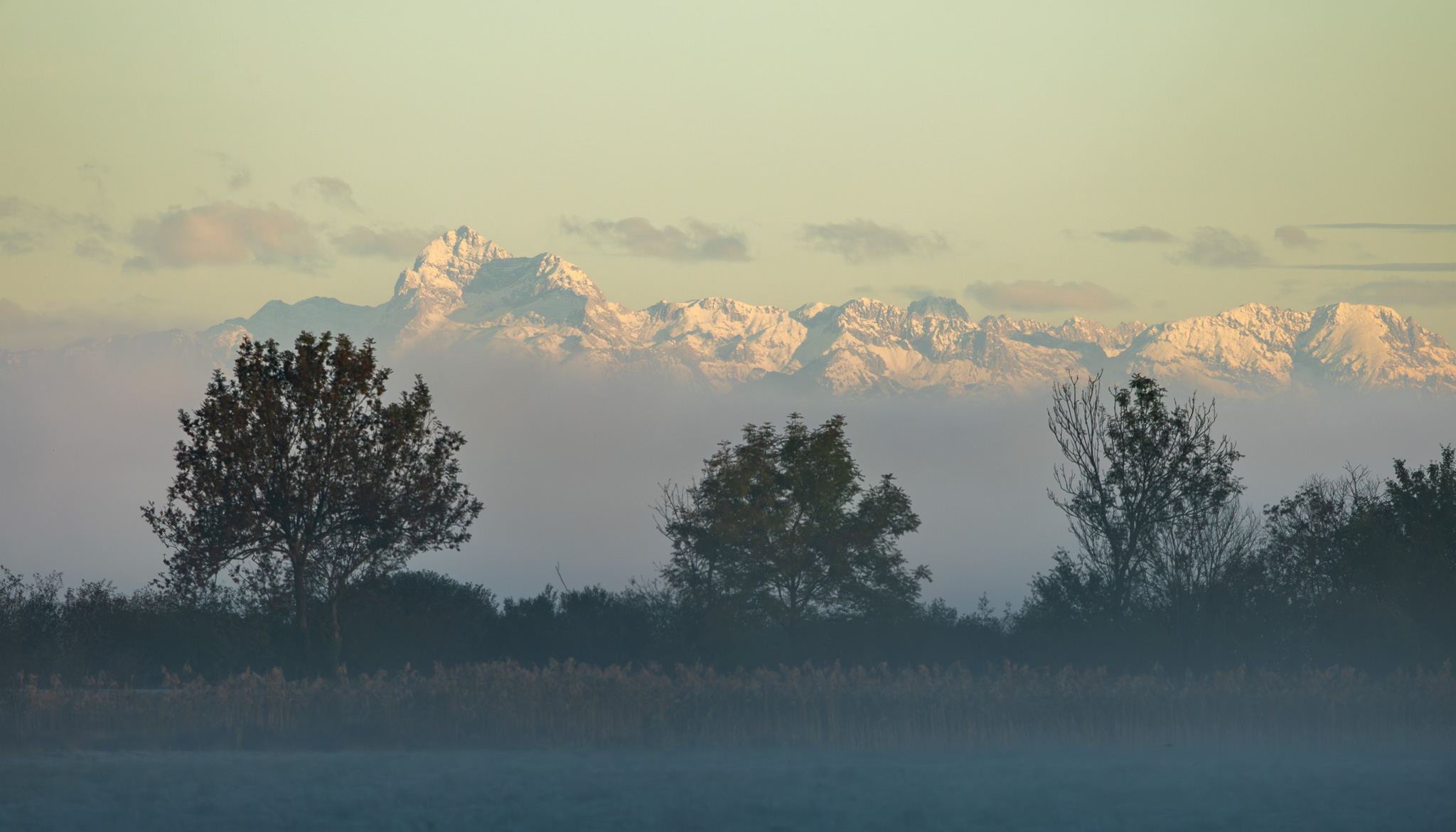 Le Triglav et les Alpes juliennes enneigés au-dessus de la brume, vus depuis le lac de Cerknica