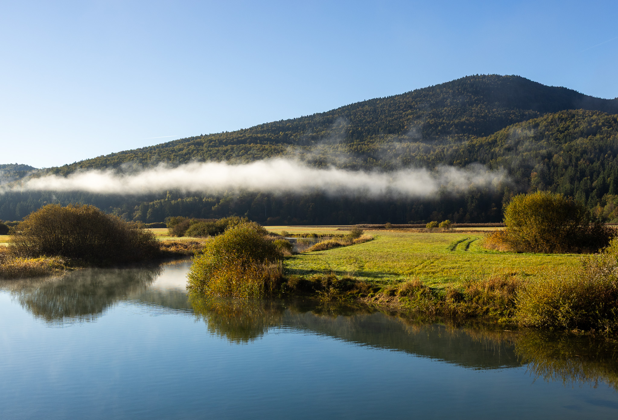 Bras d'eau et prairies du lac de Cerknica au soleil du matin, sous une bande de brume